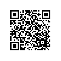 分享：冲击线缺陷对汽车外板涂装外观质量的影响