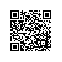 分享：GCr15轴承钢氧化物圆点形成条件模拟试验