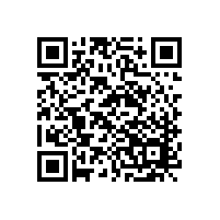 分享：气体绝缘封闭组合开关壳体泄漏原因