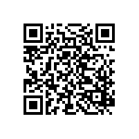 陜西大明<201一蒸一炒燃?xì)庠?系列