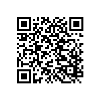 陜西涼皮火了~~