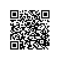 十一回家的票你定了嗎？