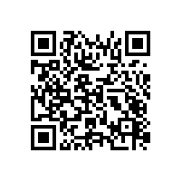 西安新興戴斯大酒店