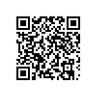 項目案例：西安市人民政府