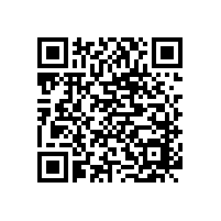 辦公椅直銷廠家之老板辦公椅篇【碧江家具】