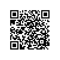 碧江上海辦公家具先進小組“安吉”游