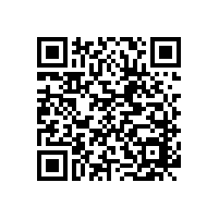 傳統文化韻味千年文化，實木辦公椅【碧江家具】