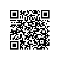 大班辦公椅哪家好，上海松江這家好【碧江家具】