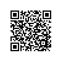 牛皮辦公椅多少錢，彈性好透氣性好【碧江家具】