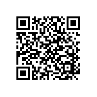 皮質弓形辦公椅，哪種好【碧江家具】