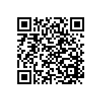 人體工學電腦椅，雙背設計雙倍護腰【碧江家具】
