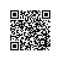 現代簡約辦公椅，招財貓款式老板椅【碧江家具】