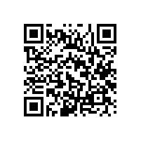阿克斯敏斯特地毯發(fā)展及特性