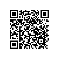 鉆石地毯經(jīng)典案例-桐鄉(xiāng)振石大酒店