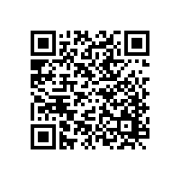 氣相色譜儀氣路延時(shí)斷氣裝置的研制方式，看完本文你就知道了【全網(wǎng)解說】