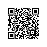 博物館案例-廣東省博物館