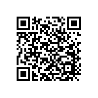 8寸喇叭額定功率能做到2千瓦嗎？