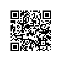 理想的12寸超重低音喇叭的概念