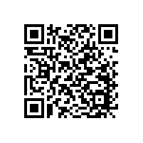 玻纖盆喇叭vs紙盆喇叭：到底有什么區別？