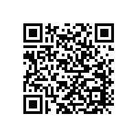 廠家分析汽車音響喇叭為什么不響