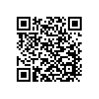 電動車電子聲浪裝置是否更安全