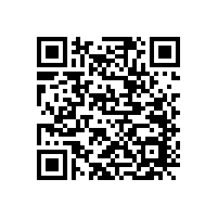 第二次網絡革命之旅---汽車音箱喇叭