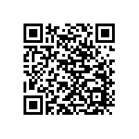 東莞喇叭生產(chǎn)廠家具備哪些區(qū)域優(yōu)勢和劣勢