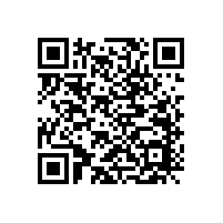 DS是什么？DS喇叭是什么意思