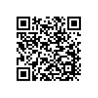 DS揚聲器是什么意思？揚聲器上印有DS