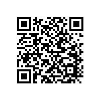 ERS喇叭公司有哪些優勢？