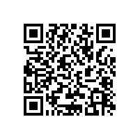 ERS汽車套裝揚聲器怎么賣？