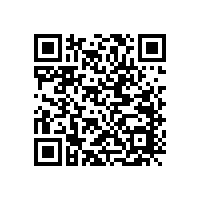 ERS揚(yáng)聲器、XLY揚(yáng)聲器和CPC揚(yáng)聲器音圈有什么不同