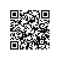 國產汽車音響喇叭領域有什么特點