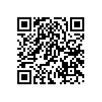 更好體驗車載揚聲器