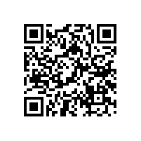 國內電動車聲浪裝置市場是否是一片藍海？