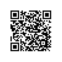 關于低音喇叭的振膜知識你知多少？