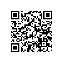 高音喇叭的音盆有哪些材料