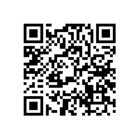 和你談論喇叭的紙盆是磨砂的好還是哪種好？