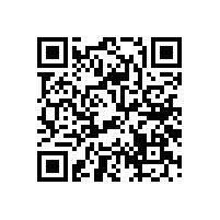 解密汽車音響喇叭不是越多越好？