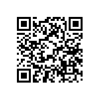 喇叭常見(jiàn)的四種音盆分析