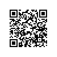 喇叭廠介紹揚(yáng)聲器的分類