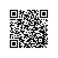 喇叭廠家—紙盆振膜的使用