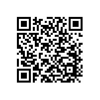 喇叭磁鐵選擇：鐵氧體與釹鐵硼喇叭有什么區(qū)別？