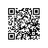 喇叭單體故障部件分析