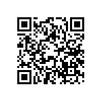 喇叭會出現什么樣的故障？