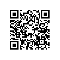 喇叭揚聲器防塵帽的形狀對音質的相關性