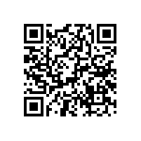 LYQ喇叭 —— 專為藍牙音箱打造的高性能單元