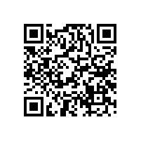 藍牙音箱喇叭中盆架的作用