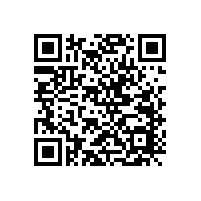 妙招教您避免損壞和燒毀汽車高音喇叭