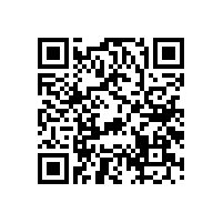 汽車低音喇叭音盆材質有哪些？